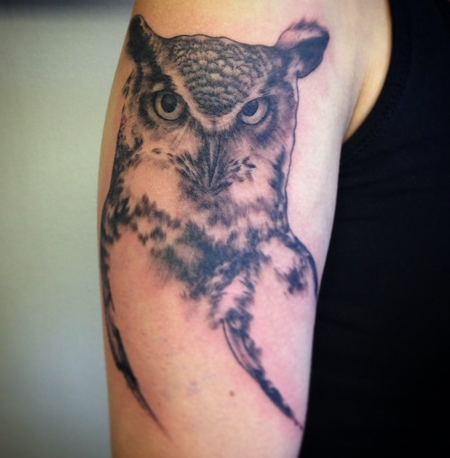 Tattoos - Owl - 98958